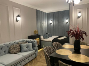 Family & Business Sauna Tężnia Apartments No14 Leśny nad Zalewem z Balkonem i Parkingiem oraz możliwością wyżywienia - Exclusive New! Kielce